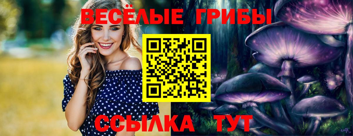 Псилоцибиновые грибы Magic Shrooms  Вход с VPN  Москва 